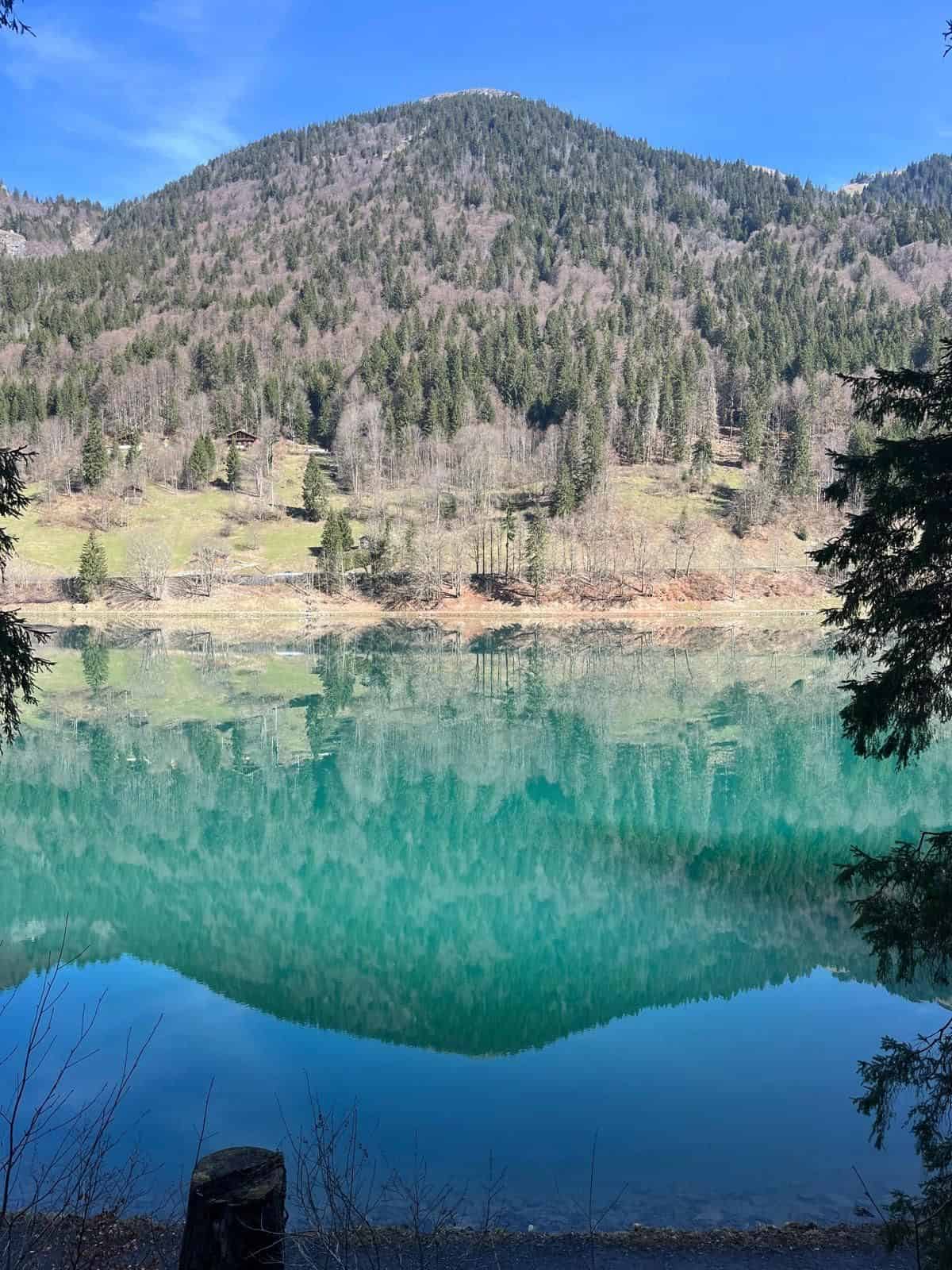 c5d67a7b-15c2-4bb0-9159-58d5e7a16389